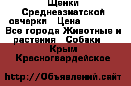 Щенки Среднеазиатской овчарки › Цена ­ 30 000 - Все города Животные и растения » Собаки   . Крым,Красногвардейское